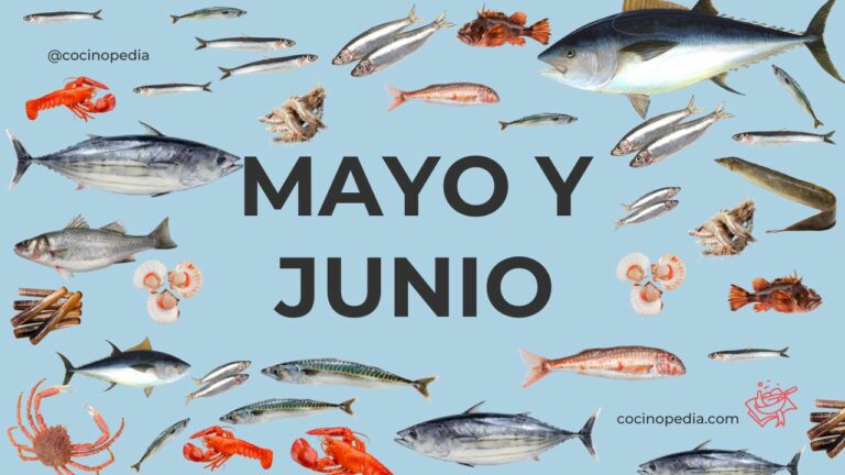 Pescados y Mariscos de Mayo y Junio
