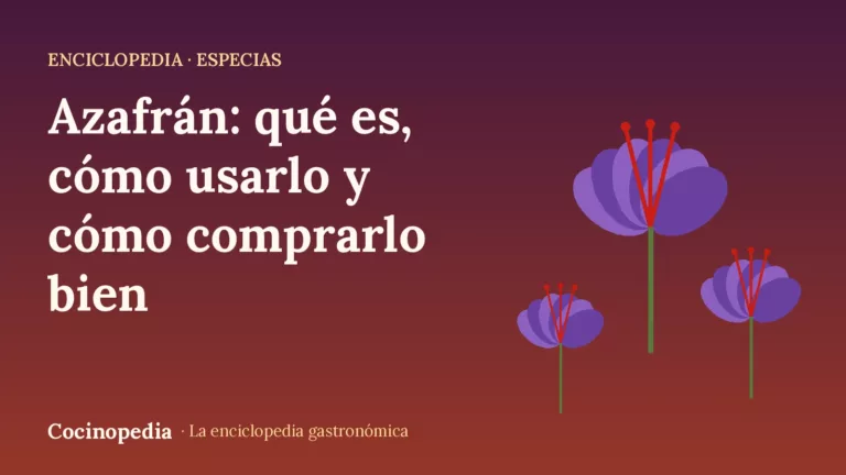 Azafrán: qué es, cómo usarlo y cómo comprarlo bien