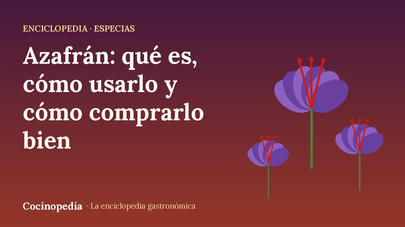 Ilustración de rosas del azafrán con sus estigmas rojos